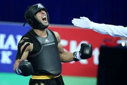 سیفی طلایی شد، آهنگریان به مدال نقره رسید