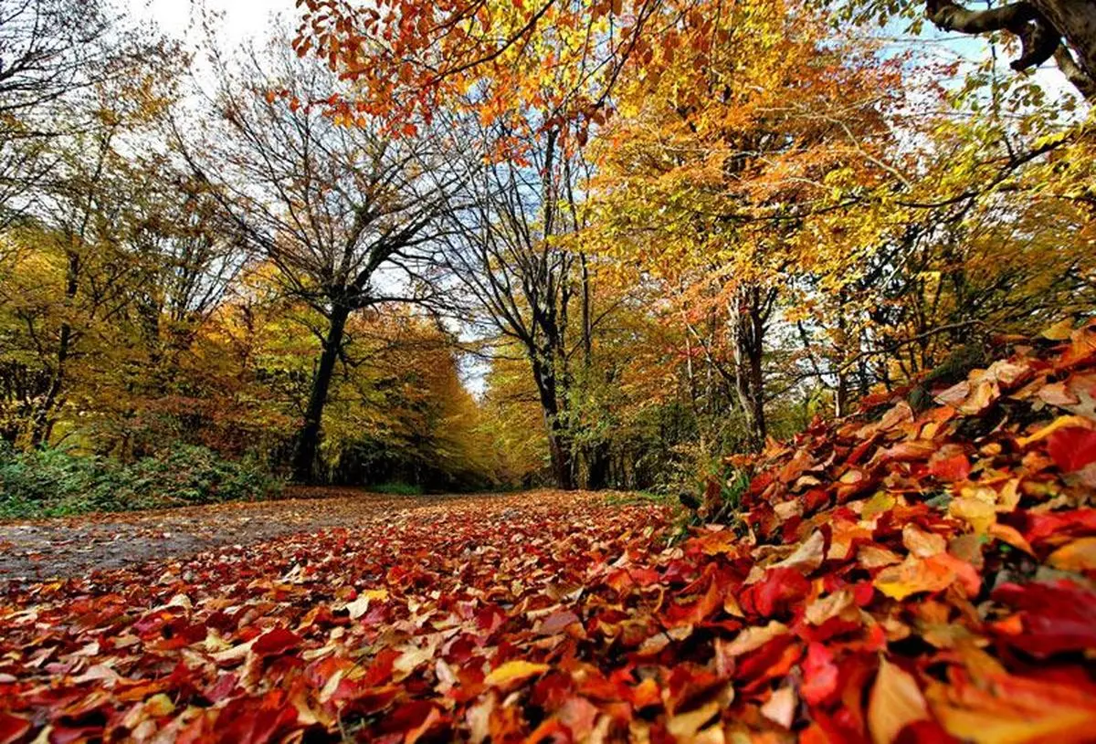 جوی آرام و پایدار در اغلب مناطق کشور/ افزایش آلاینده‌ها در شهرهای بزرگ و صنعتی