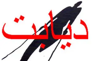 کمپین 