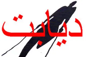 کمپین 