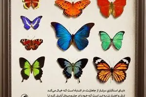 نگاه غرب به زن