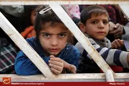 توزیع ۶ هزار سبد غذایی در جنوب موصل توسط دفتر آیت‌الله سیستانی