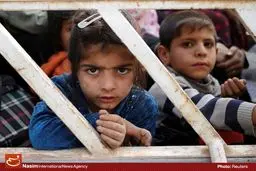 توزیع ۶ هزار سبد غذایی در جنوب موصل توسط دفتر آیت‌الله سیستانی