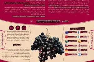 جرعه جنون
