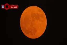 ابرماه (Supermoon) در آلودگی تهران گم شد