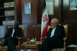 ظریف: همکاری کشورها جهت کنترل گسترش تروریسم، خشونت و افراط گرایی در منطقه ضروری است