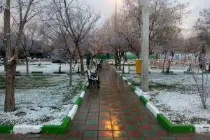 دمای هوای تهران به منفی ۸ درجه می‌رسد/ گرد و خاک بر برخی نقاط ایران