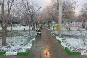 دمای هوای تهران به منفی ۸ درجه می‌رسد/ گرد و خاک بر برخی نقاط ایران