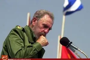 گلچینی از زندگی 