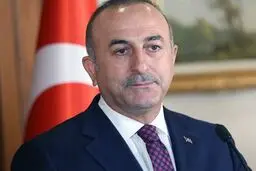وزیر خارجه ترکیه وارد تهران شد