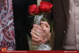 ازدواج جوانان؛ سرگردان بین دولت و مجلس
