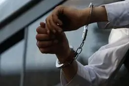 سارق حرفه‌ای پایتخت دستگیر شد