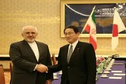 ظریف: ژاپن کنشگران منطقه را به کنار کشیدن از حمایت تروریست‌ها تشویق کند/ 