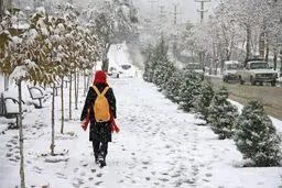 مدارس ابتدایی نواحی هفتگانه مشهد در نوبت صبح روز شنبه تعطیل شد