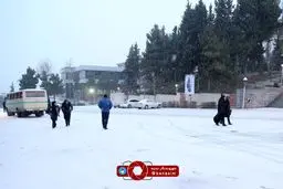 برف و سرما مدارس اهر را  تعطیل کرد