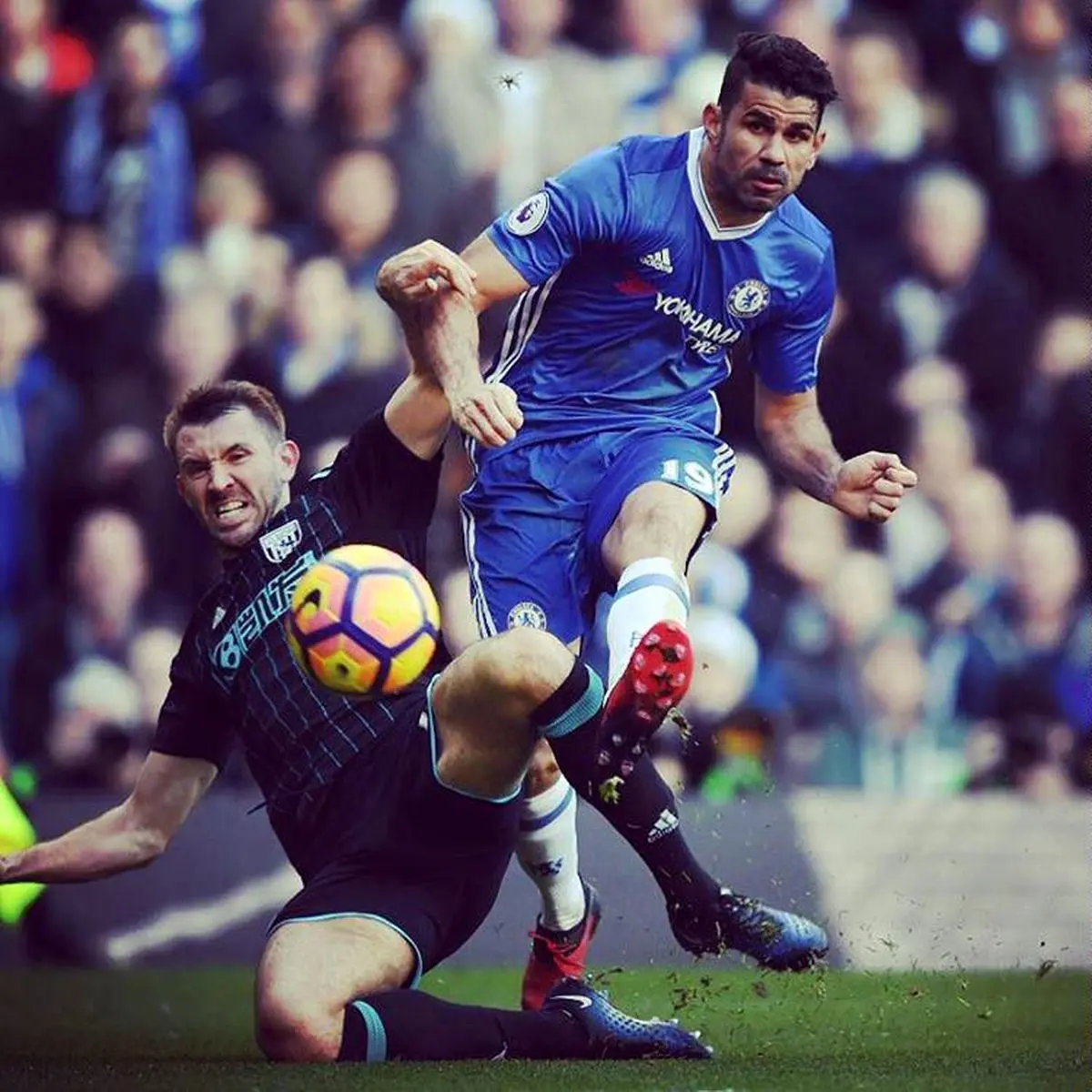 تداوم پیروزی‌های شاگردان کونته