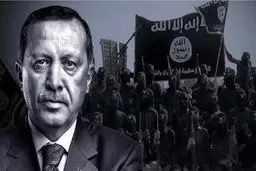 اردوغان ثابت کرده فقط زبان زور را می‌فهمد/ او معتقد است حلب و موصل باید به ترکیه ملحق شوند