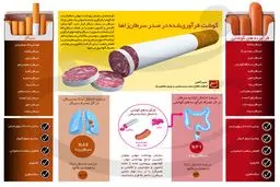 گوشت فرآوری‌شده در صدر سرطان‌زاها