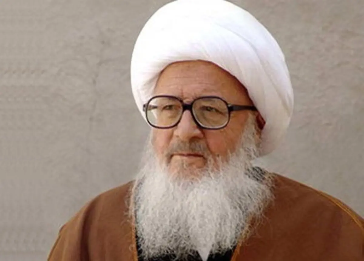 وزیر بهداشت با آیت‌الله وحید خراسانی دیدار کرد