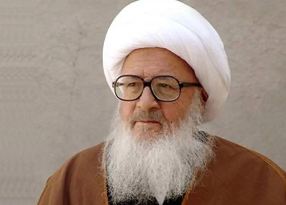 وزیر بهداشت با آیت‌الله وحید خراسانی دیدار کرد