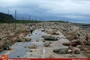 برترین تصاویر از پدیده‌های طبیعی سال ۲۰۱۶ از نگاه Getty