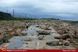 برترین تصاویر از پدیده‌های طبیعی سال ۲۰۱۶ از نگاه Getty