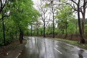 اوایل هفته آینده سامانه بارشی وارد کشور می‌شود