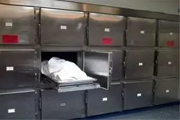 مرگ غیرطبیعی روزانه ۱۵ تهرانی