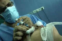 تجارت پنهان شرکت‌های دندانپزشکی با لبخند هالیوودی!