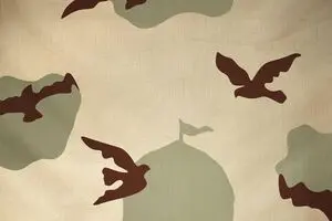 ما را مدافعان حرم آفریده‌اند