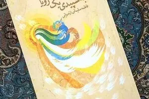 رمانی برای شناخت بیشتر کسی که فقط از او نام و حرمش را می‌شناسیم