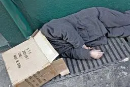 کارتن خواب خوب کارتن خواب مرده است!