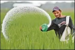 عرضه محصولاتی که از کود شیمیایی غیرمجاز استفاده کردند ممنوع شد