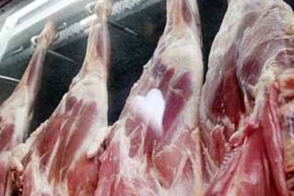 روزی ۱۰۰۰ لاشه در بازار توزیع می‌کنیم/ ارزان نکنید آنقدر گوشت می‌ریزیم تا قیمت‌ها از ۳۱ هزار تومان هم کمتر شود