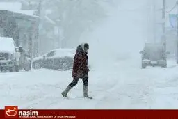 قربانیان سرما در اروپا به ۶۰ نفر رسید/ رودخانه دانوب یخ زد/ پیش‌بینی سرمای منفی ۳۵ درجه برای برخی شهرها