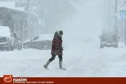 قربانیان سرما در اروپا به ۶۰ نفر رسید/ رودخانه دانوب یخ زد/ پیش‌بینی سرمای منفی ۳۵ درجه برای برخی شهرها