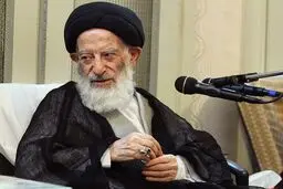 دیدار وزیر بهداشت با آیت‌الله شبیری زنجانی