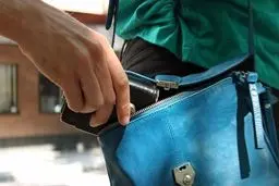 سمیه جیب بر را شناسایی کنید + عکس