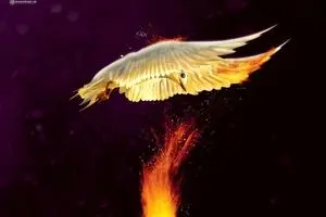 آتش‌نشانان فداکار و با شهامت