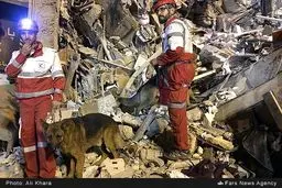 پیکرهای خارج شده از زیر آوار قابل شناسایی هستند