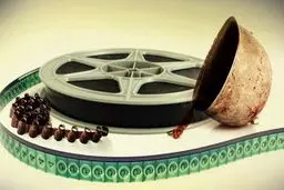 سینما کلید پیشرفت کشور