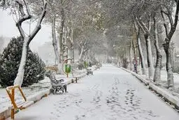 کاهش چشمگیر دمای پایتخت/ تهران برفی می‌شود