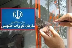 سرپرست سازمان تعزیرات حکومتی منصوب شد