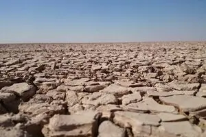 مقابله با ریزگرد‌ها نیاز به احیای تالاب‌ها دارد/ هورالعظیم نیازمند نسخه جدید است