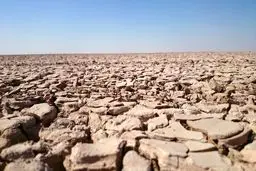 مقابله با ریزگرد‌ها نیاز به احیای تالاب‌ها دارد/ هورالعظیم نیازمند نسخه جدید است