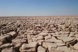 مقابله با ریزگرد‌ها نیاز به احیای تالاب‌ها دارد/ هورالعظیم نیازمند نسخه جدید است