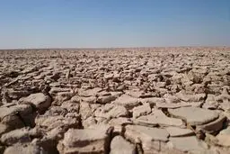 مقابله با ریزگرد‌ها نیاز به احیای تالاب‌ها دارد/ هورالعظیم نیازمند نسخه جدید است