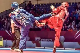 اعضای شورای فنی فدراسیون تکواندو معرفی شدند