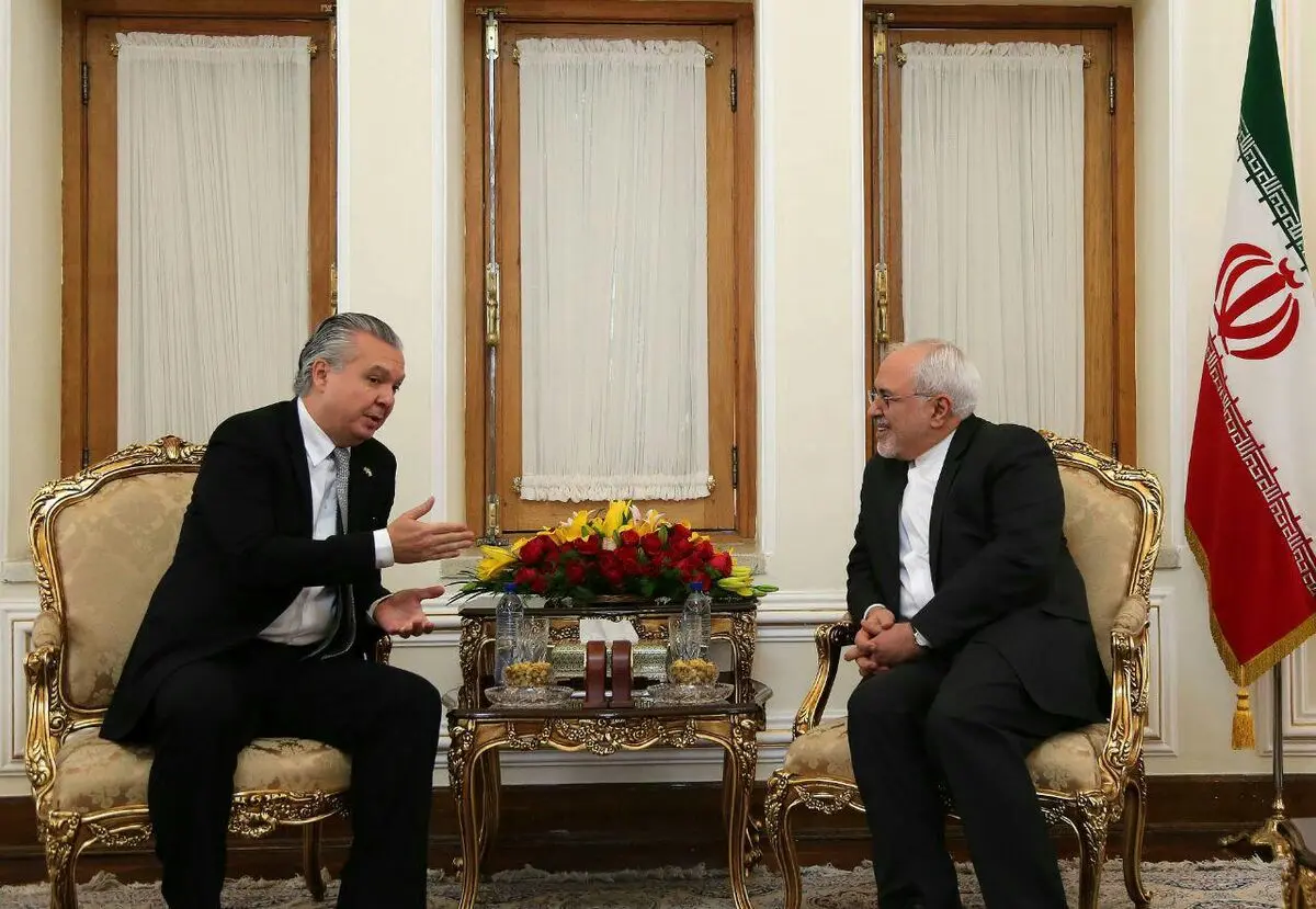 ظریف: ایران شریکی مناسب برای برزیل است