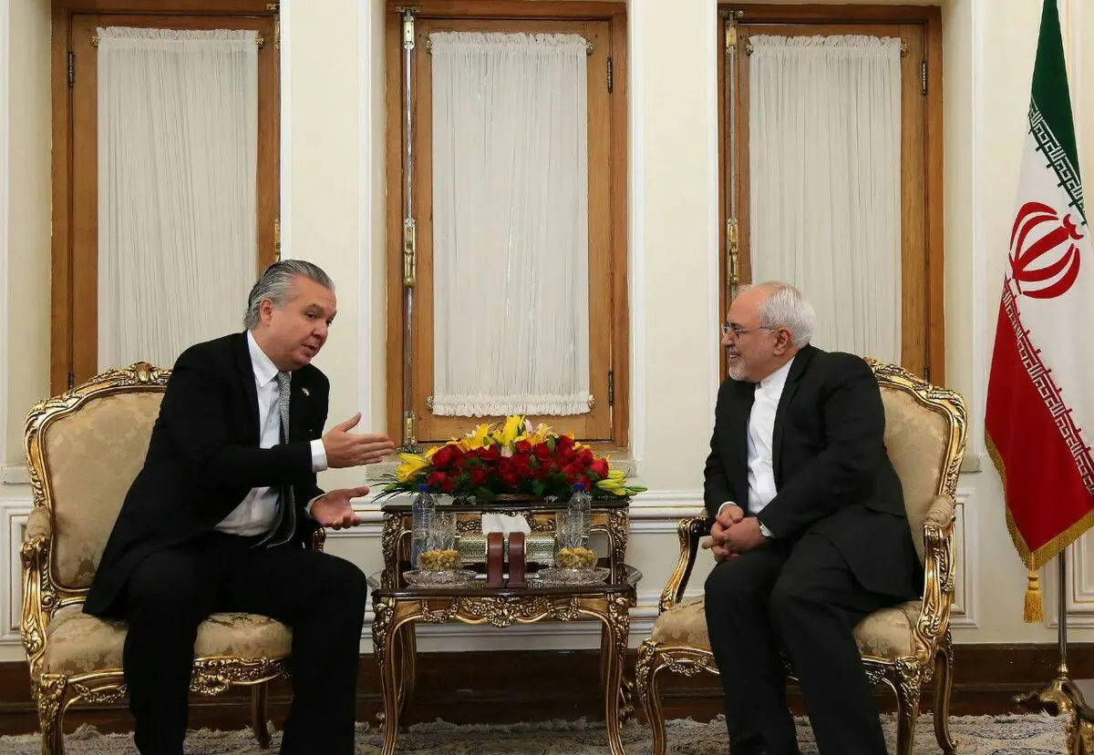 ظریف: ایران شریکی مناسب برای برزیل است